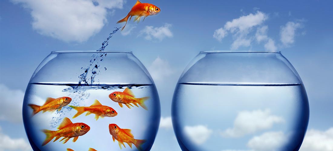 changing-careers-finance