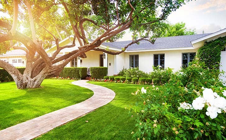 Beautiful home